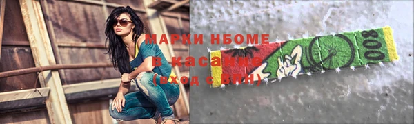 индика Балабаново