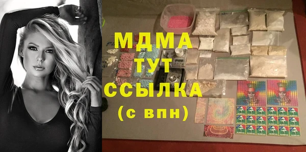 прущие грибы Аркадак